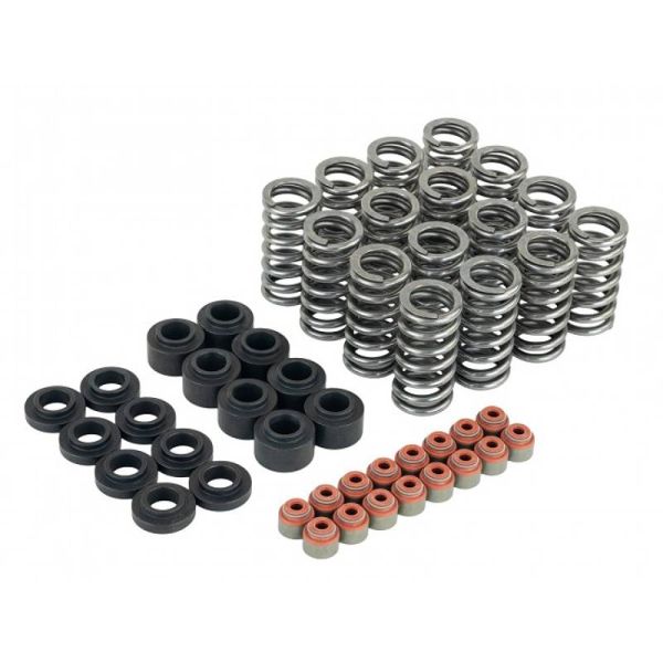 L15B7 Skunk2 Valve Spring Kit for 2016-2021 Civic SI 1.5T