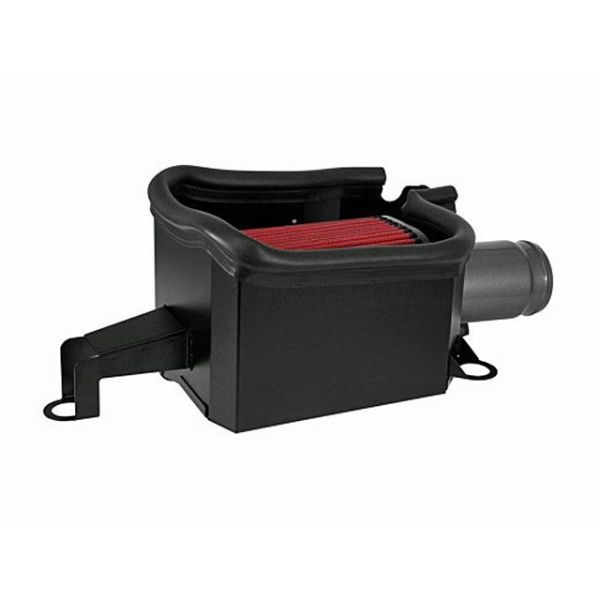 AEM Cold Air Intake