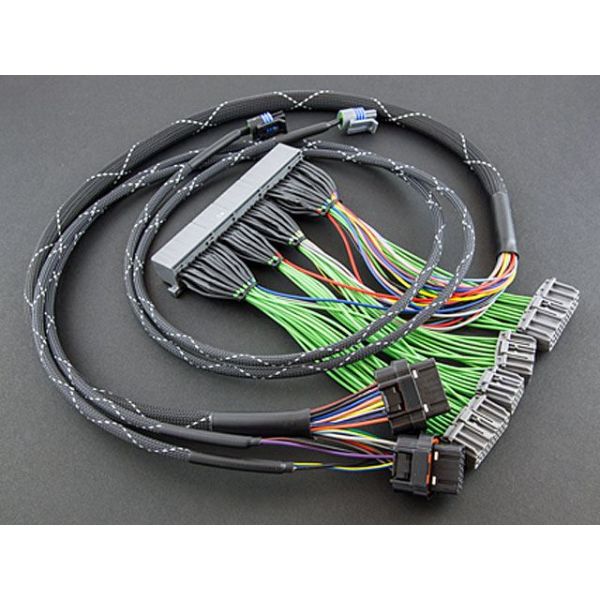 Haltech Elite PnP Harness