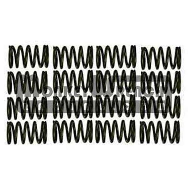 Valve Spring Set - 2ZR-FE