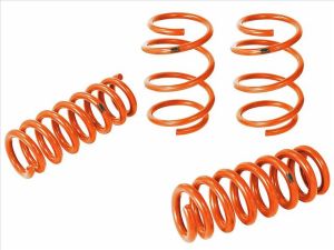 aFe Power Lowering Springs
