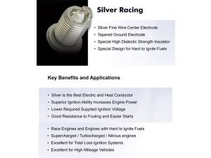 Brisk Boost Turbo Spark Plugs - Set of 8