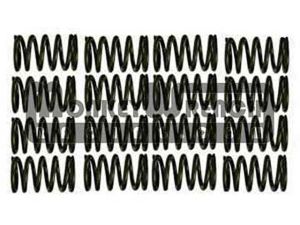 Valve Spring Set - 2ZR-FE