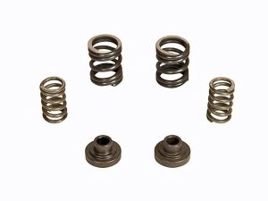 BD Diesel Governor Spring Kit - 3000rpm - 12-valve - P7100 Pump