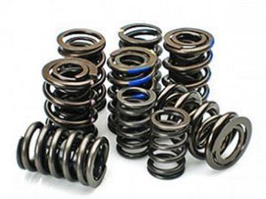 MWR Valve Springs