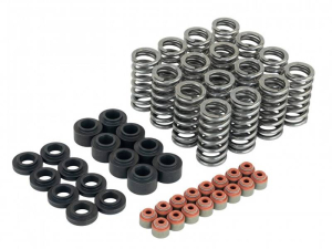 L15B7 Skunk2 Valve Spring Kit for 2016-2021 Civic SI 1.5T