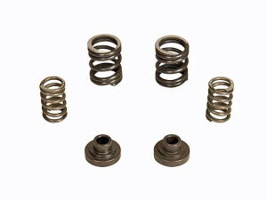 BD Diesel Governor Spring Kit - 3000rpm - 12-valve - P7100 Pump