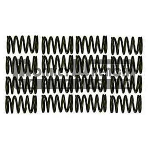 Valve Spring Set - 2ZR-FE